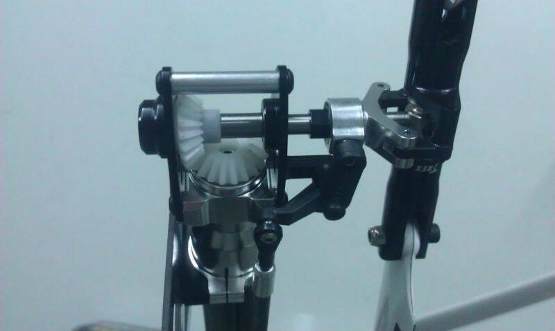 IMAG0204.jpg