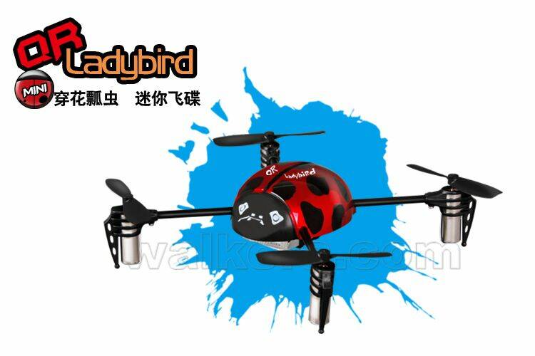 FEA_QR_Ladybird_6.jpg