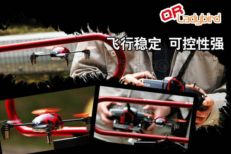 FEA_QR_Ladybird_924.jpg