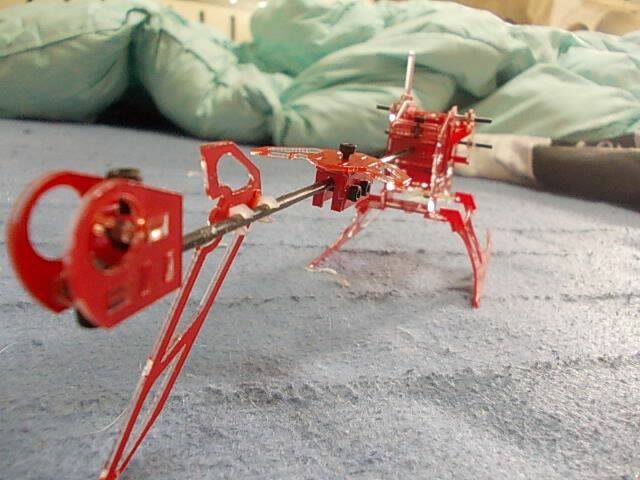 DSCN0988.JPG