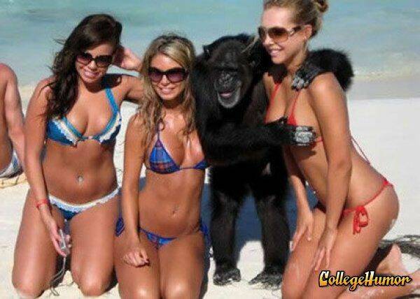collegehumor.caaa769f4cd1229408f929fc64d57b2a.jpg