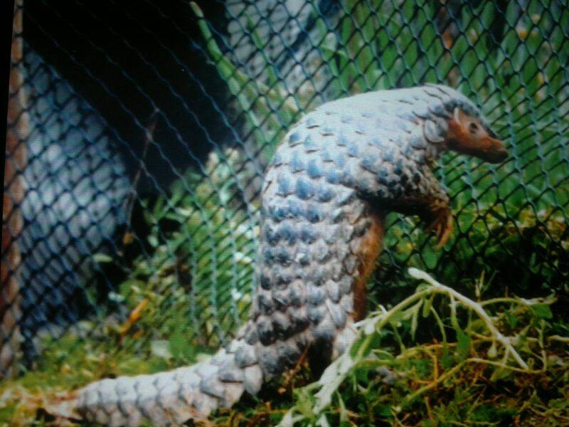 201203102829.jpg