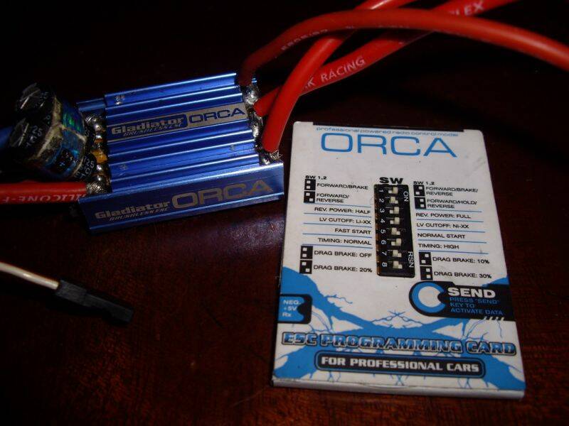 ORCA-2.jpg