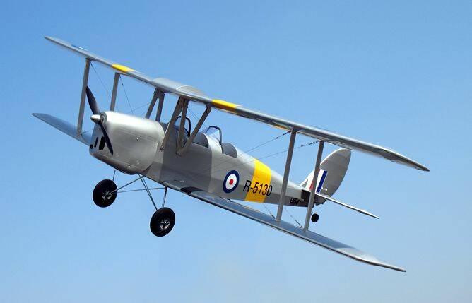 XY-147Sliver Tiger Moth-120.jpg