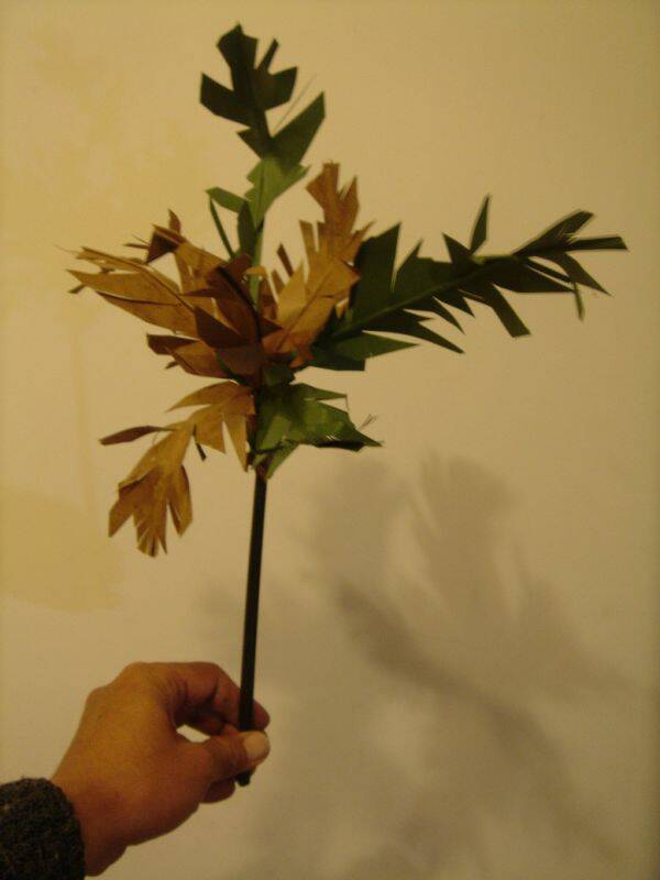 DSC00031.JPG