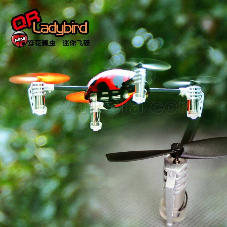 FEA_QR_Ladybird_924.jpg