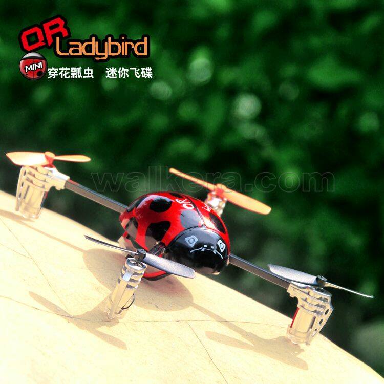 QR%20Ladybird_big.jpg