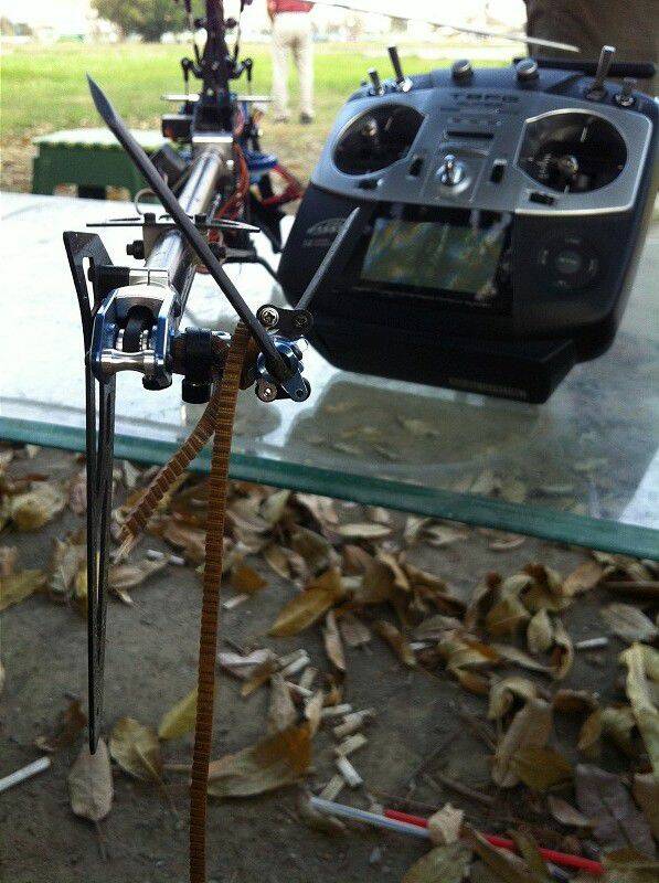 尾巴吃草不稀奇...吃皮帶才屌