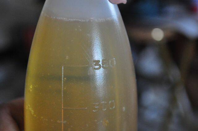 DSC_8737 (640x425).jpg
