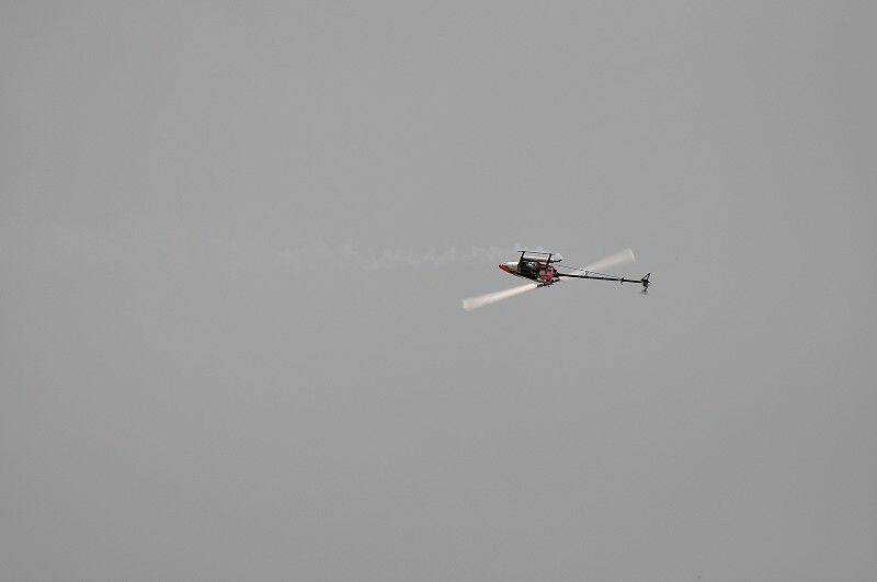 DSC_7544-800.jpg