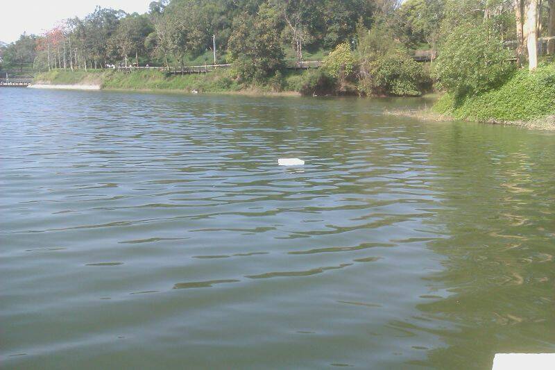 IMAG0054.jpg