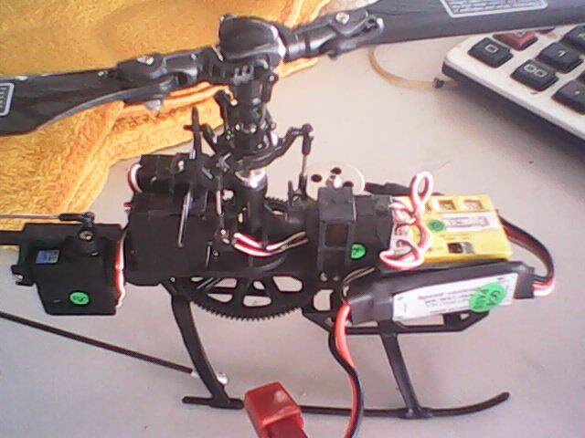 IMG0223A.jpg