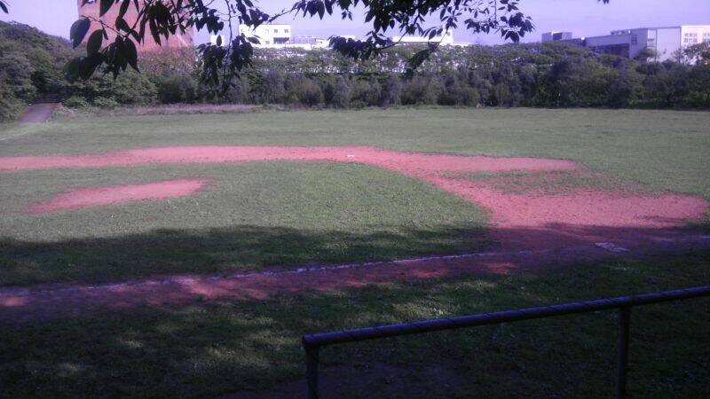 IMAG0126.jpg