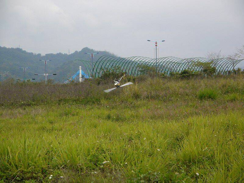 P1000542-800.jpg