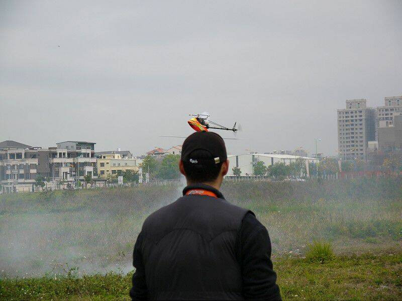 P1000515-800.jpg