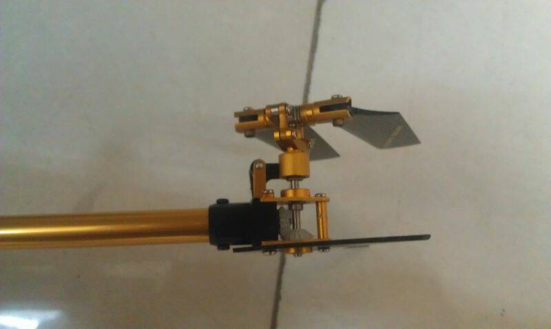 IMAG0006.jpg