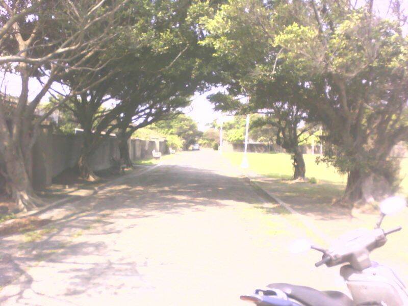 IMG0713A.jpg