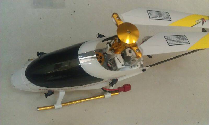 IMAG0005.jpg