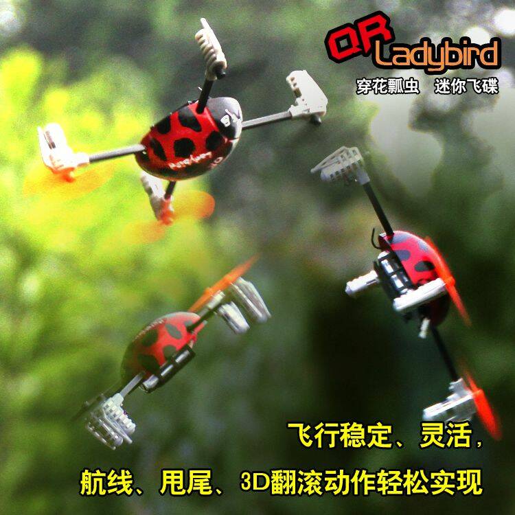 FEA_QR_Ladybird_7.jpg