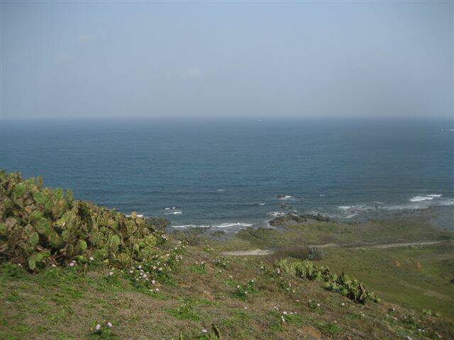 IMG_6525.JPG
