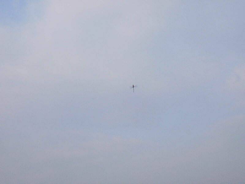 SANY4218.JPG