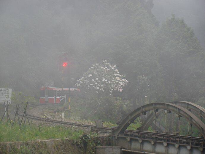 DSC01725.jpg