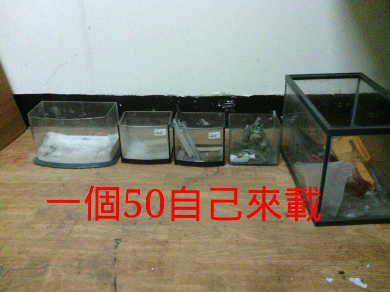(已售出)魚缸
