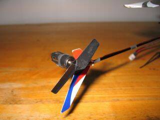 IMG_0703_1.jpg