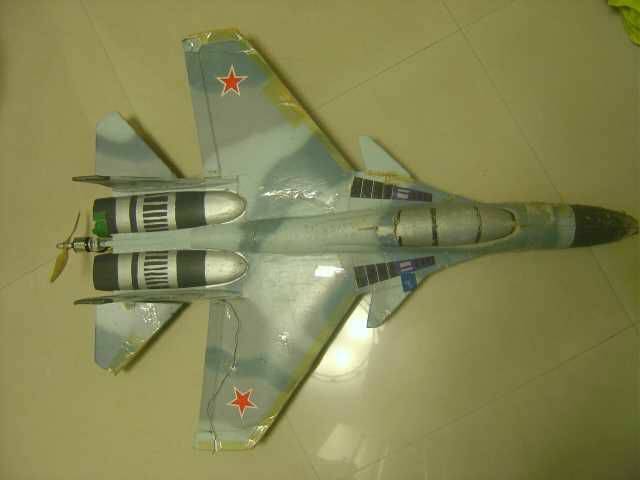 Su-37 (飛魚工廠機身)