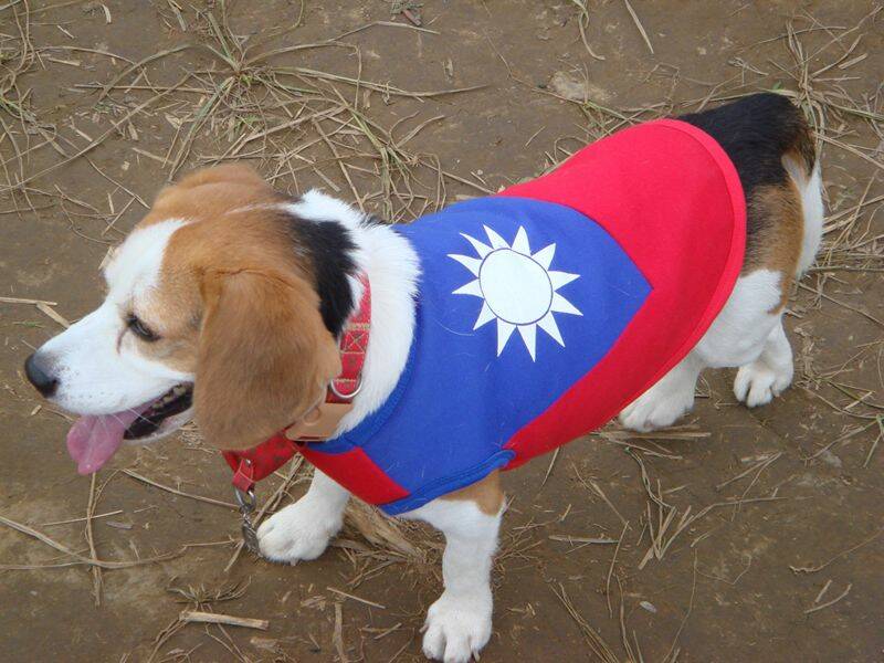 最讚軍犬