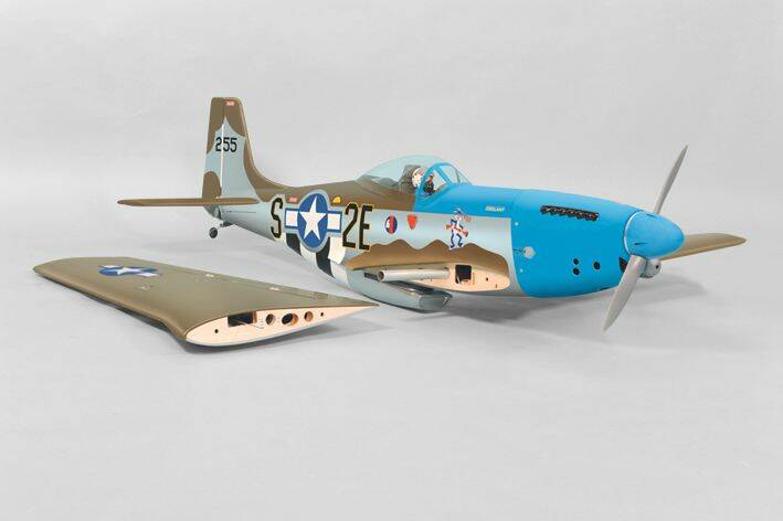 P51-1.jpg