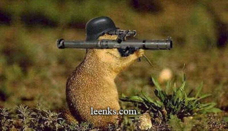 0bcbdca5.jpg