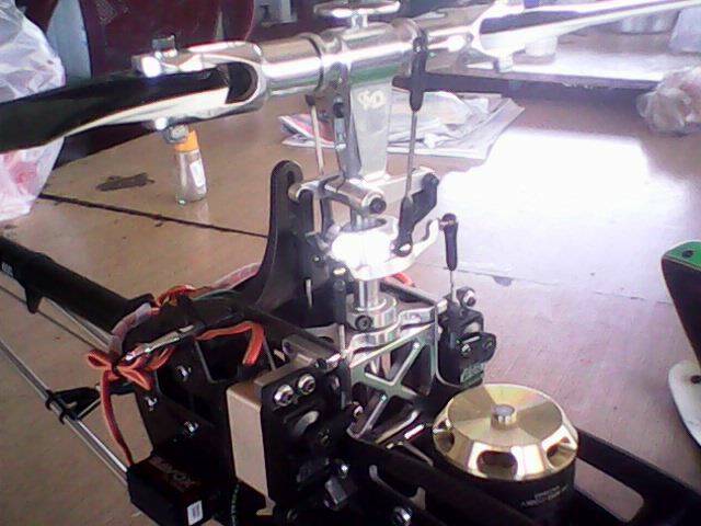 IMG0256A.jpg