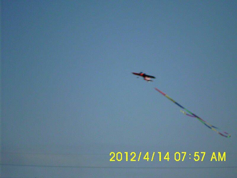 IMG_0016-800.jpg