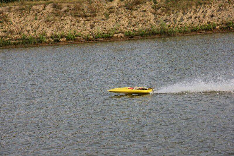 IMG_0221-800.jpg