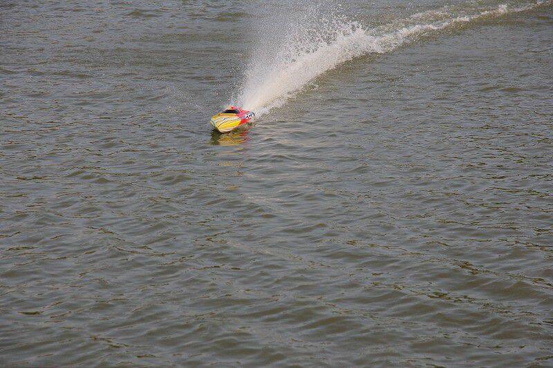 IMG_0244-800.jpg
