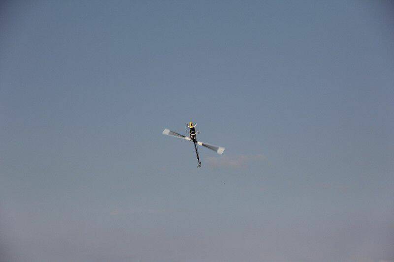 IMG_0152-800.jpg