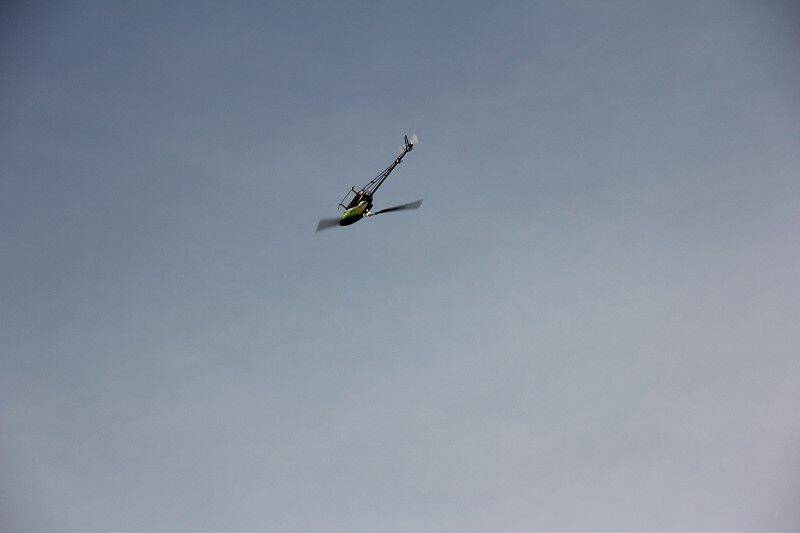 IMG_0117-800.jpg