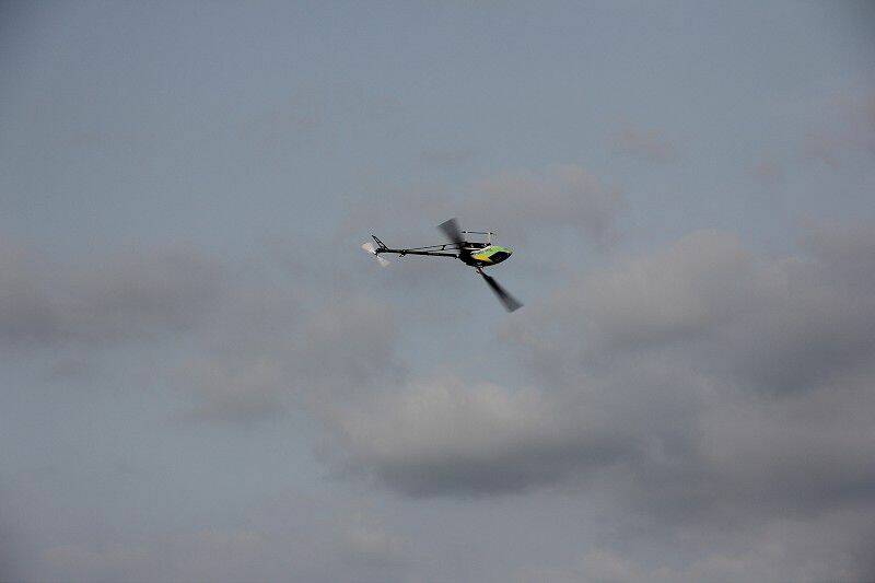 IMG_0131-800.jpg