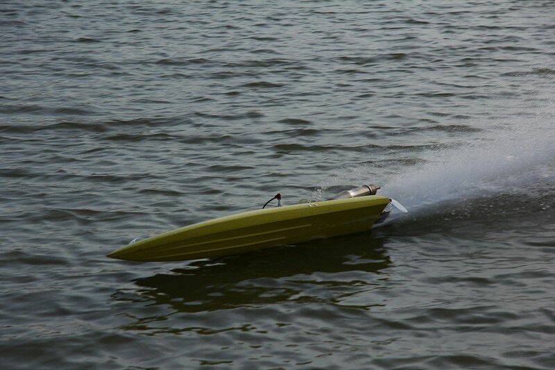 IMG_0203-800.jpg