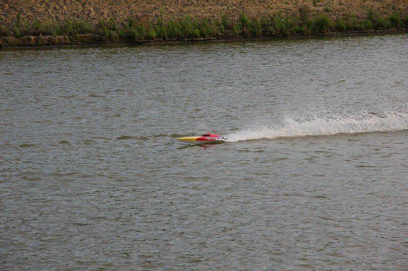 IMG_0242-800.jpg