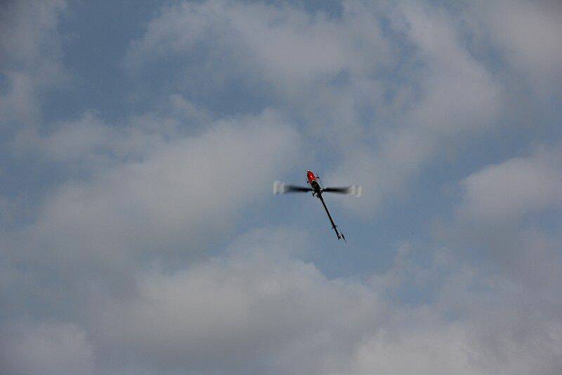IMG_0092-800.jpg