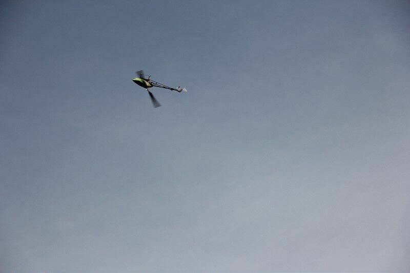 IMG_0118-800.jpg
