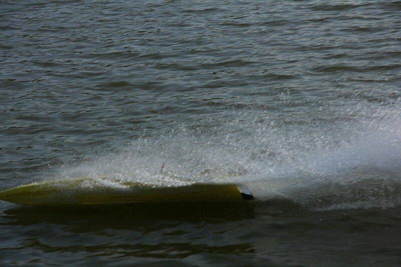 IMG_0204-800.jpg