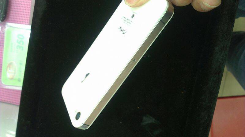 IMAG0009.jpg