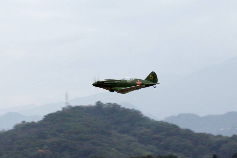 IMG_8565.JPG