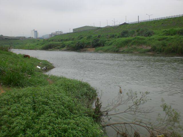 左邊的水域