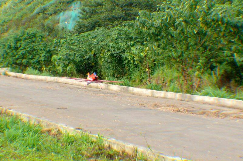 P1120110.JPG