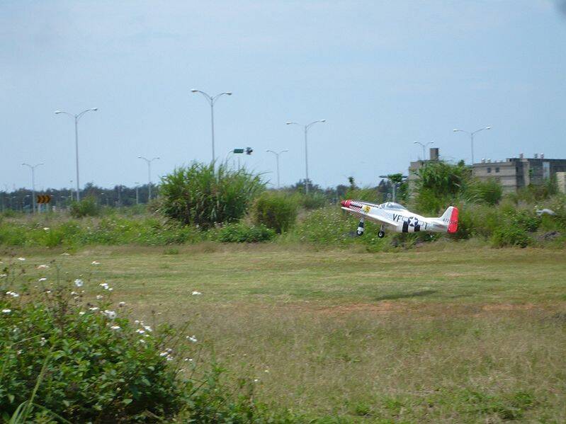 P1140483.JPG