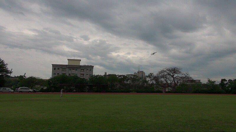 DSC01356-800.jpg